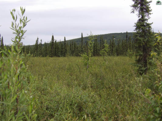 NHN JADE STREET, FAIRBANKS, AK 99709, photo 2 of 3