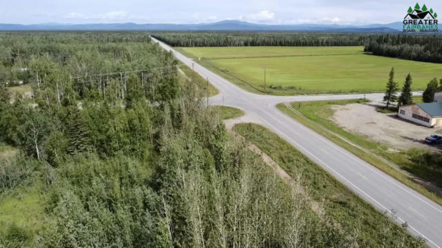 NHN CLEAR WATER ROAD, DELTA JUNCTION, AK 99737 - Image 1