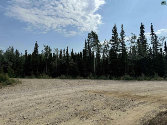 LOT 1 CLEARWATER DRIVE, DELTA JUNCTION, AK 99737 - Image 1
