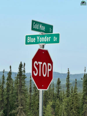 LOT 8 BLUE YONDER DRIVE, FAIRBANKS, AK 99712, photo 2 of 4