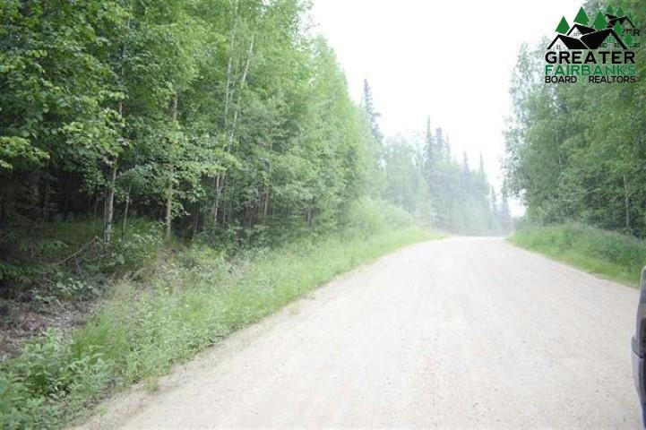 RED BERRY ROAD, FAIRBANKS, AK 99709, photo 1 of 2